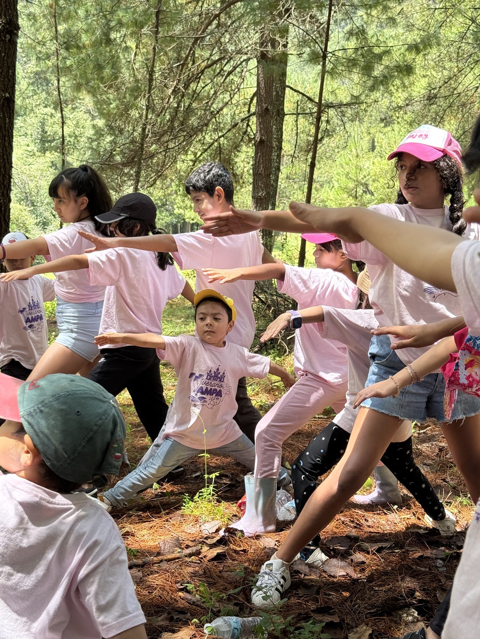 Niñas y niños en actividades del Curso de Verano de AMPA